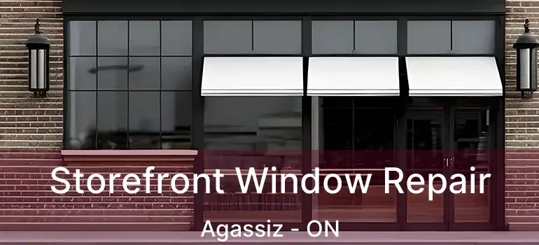  Storefront Window Repair Agassiz - ON