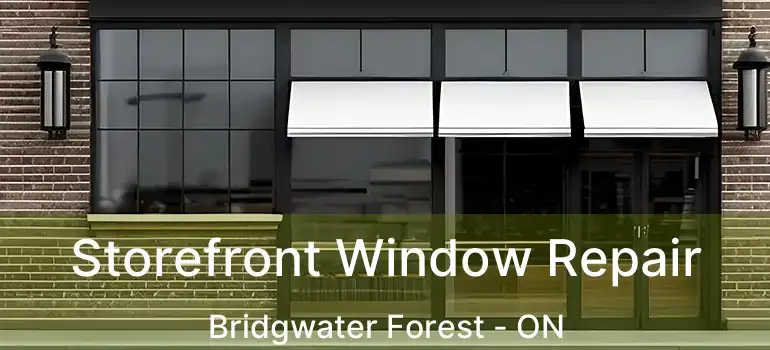  Storefront Window Repair Bridgwater Forest - ON