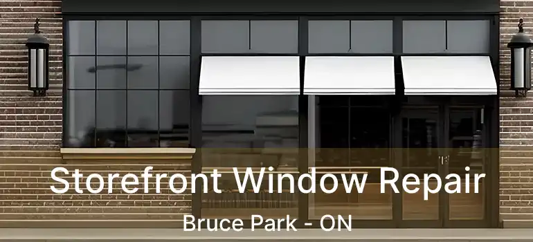  Storefront Window Repair Bruce Park - ON