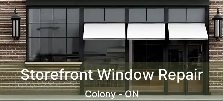  Storefront Window Repair Colony - ON