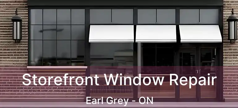  Storefront Window Repair Earl Grey - ON