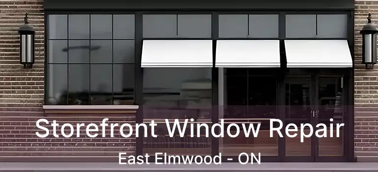  Storefront Window Repair East Elmwood - ON