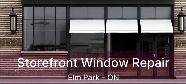  Storefront Window Repair Elm Park - ON