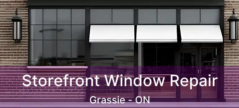  Storefront Window Repair Grassie - ON