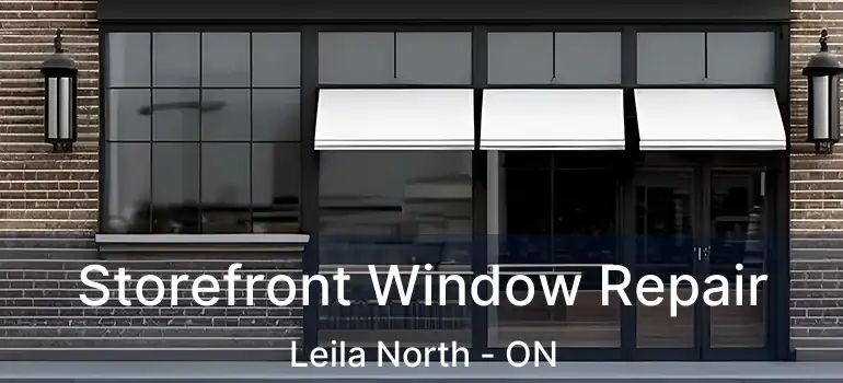  Storefront Window Repair Leila North - ON