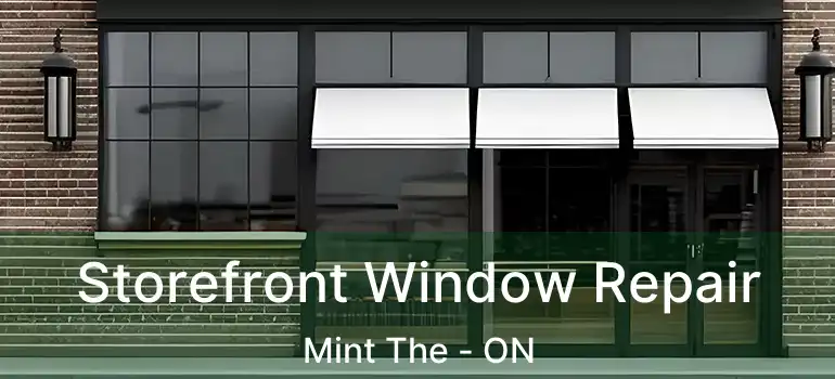  Storefront Window Repair Mint The - ON