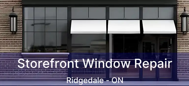  Storefront Window Repair Ridgedale - ON