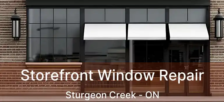  Storefront Window Repair Sturgeon Creek - ON