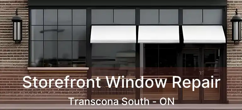  Storefront Window Repair Transcona South - ON