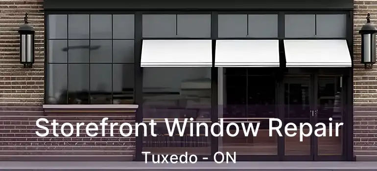  Storefront Window Repair Tuxedo - ON