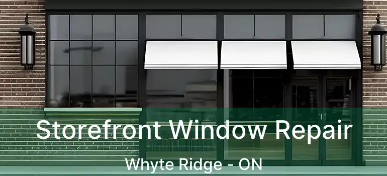  Storefront Window Repair Whyte Ridge - ON