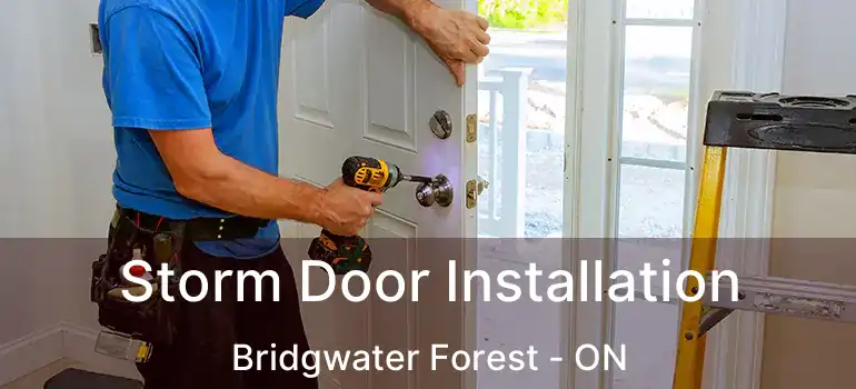  Storm Door Installation Bridgwater Forest - ON