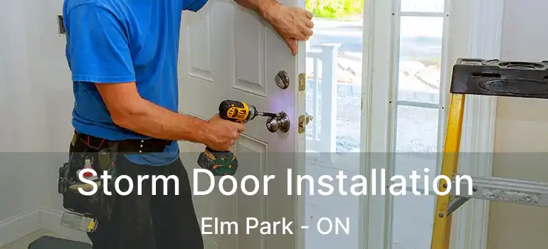  Storm Door Installation Elm Park - ON