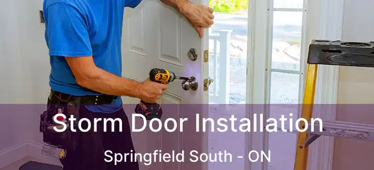  Storm Door Installation Springfield South - ON