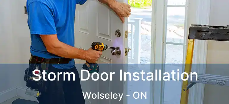  Storm Door Installation Wolseley - ON