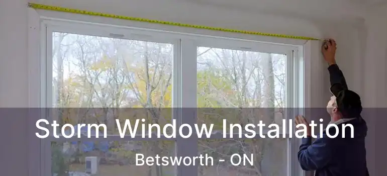  Storm Window Installation Betsworth - ON