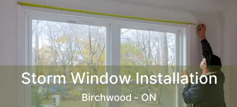  Storm Window Installation Birchwood - ON
