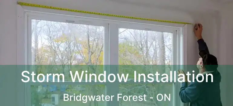  Storm Window Installation Bridgwater Forest - ON