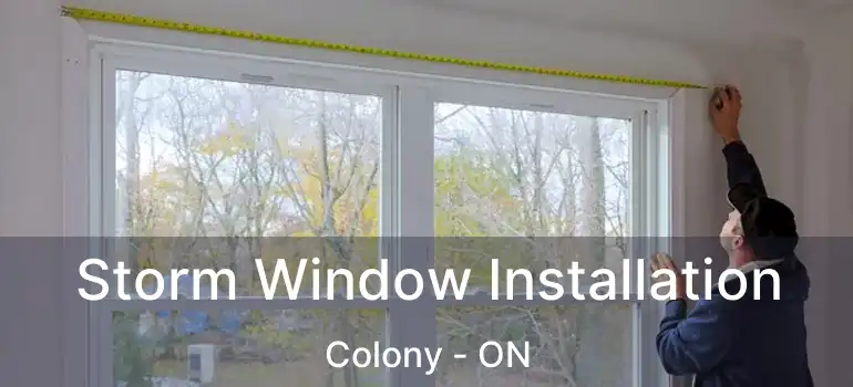  Storm Window Installation Colony - ON