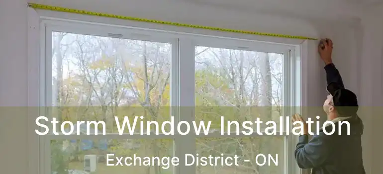  Storm Window Installation Exchange District - ON