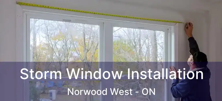  Storm Window Installation Norwood West - ON