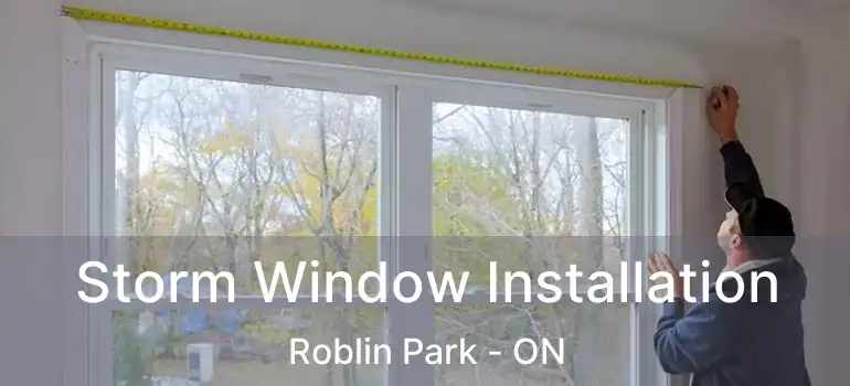  Storm Window Installation Roblin Park - ON