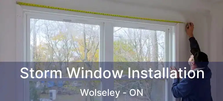  Storm Window Installation Wolseley - ON