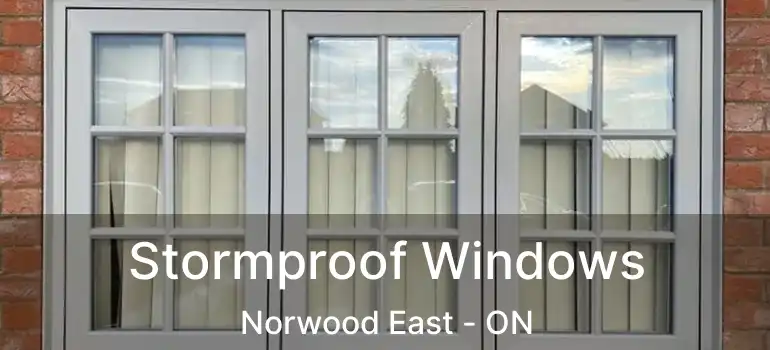  Stormproof Windows Norwood East - ON