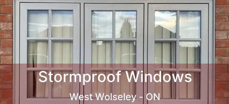  Stormproof Windows West Wolseley - ON
