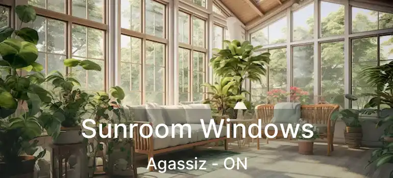  Sunroom Windows Agassiz - ON