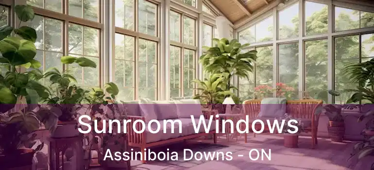  Sunroom Windows Assiniboia Downs - ON