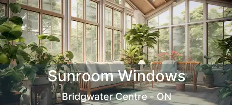  Sunroom Windows Bridgwater Centre - ON