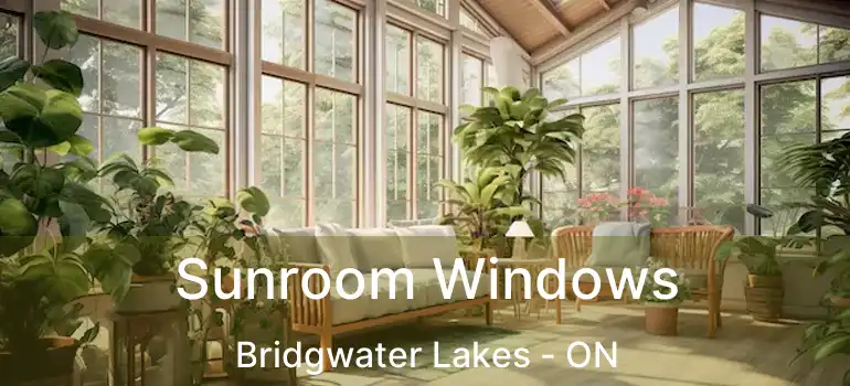  Sunroom Windows Bridgwater Lakes - ON