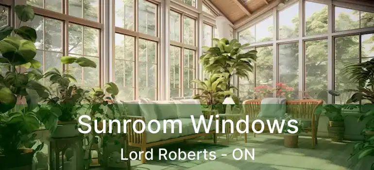  Sunroom Windows Lord Roberts - ON