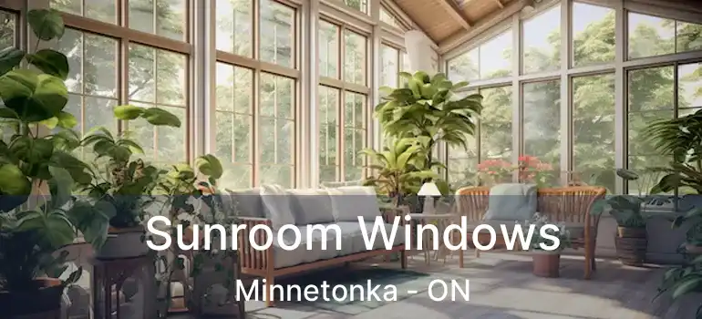  Sunroom Windows Minnetonka - ON