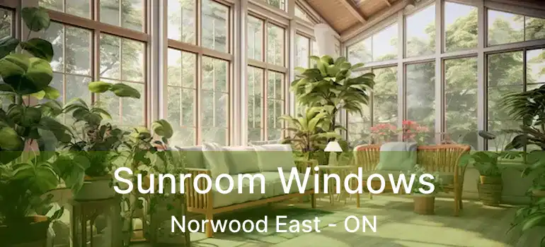  Sunroom Windows Norwood East - ON