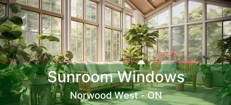  Sunroom Windows Norwood West - ON