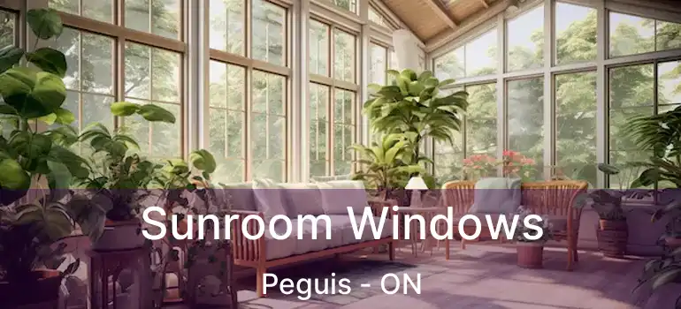  Sunroom Windows Peguis - ON