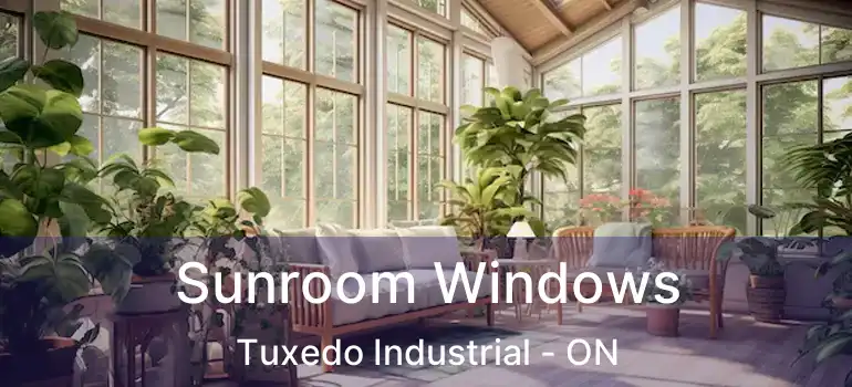  Sunroom Windows Tuxedo Industrial - ON