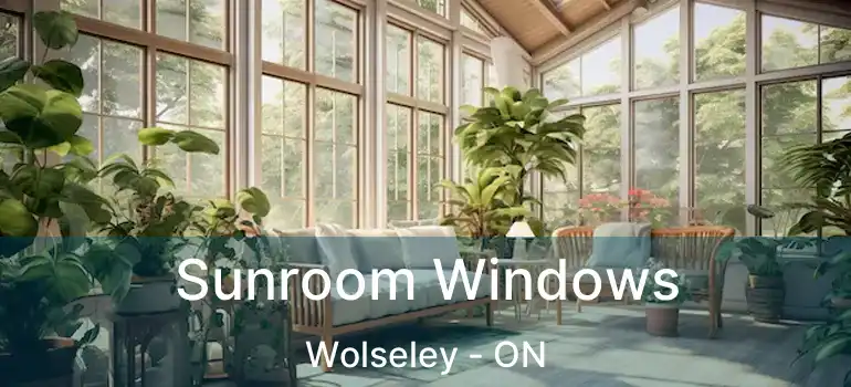  Sunroom Windows Wolseley - ON