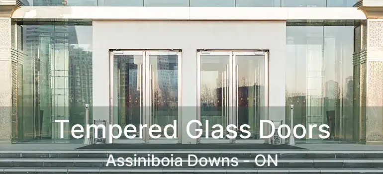  Tempered Glass Doors Assiniboia Downs - ON