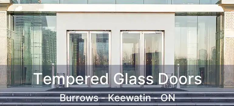  Tempered Glass Doors Burrows - Keewatin - ON