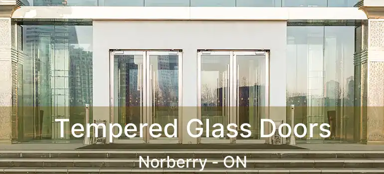  Tempered Glass Doors Norberry - ON