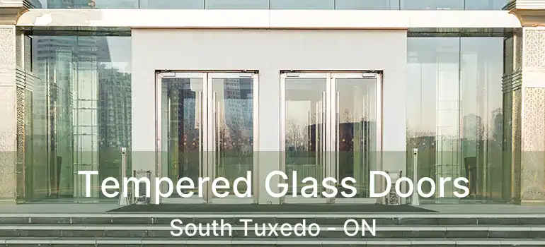  Tempered Glass Doors South Tuxedo - ON