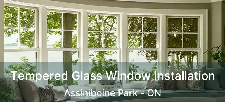  Tempered Glass Window Installation Assiniboine Park - ON
