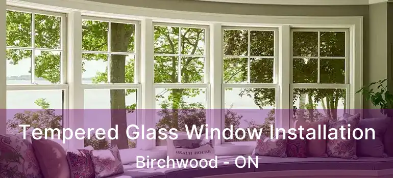  Tempered Glass Window Installation Birchwood - ON
