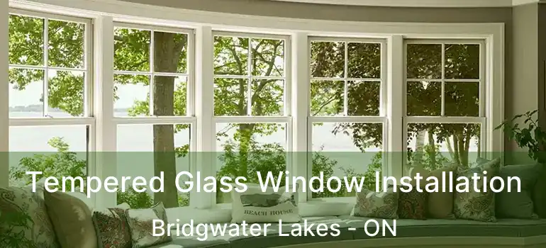  Tempered Glass Window Installation Bridgwater Lakes - ON