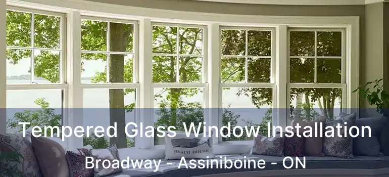  Tempered Glass Window Installation Broadway - Assiniboine - ON