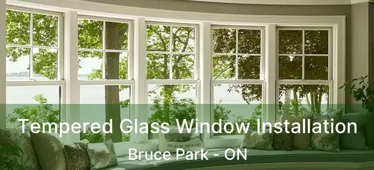  Tempered Glass Window Installation Bruce Park - ON