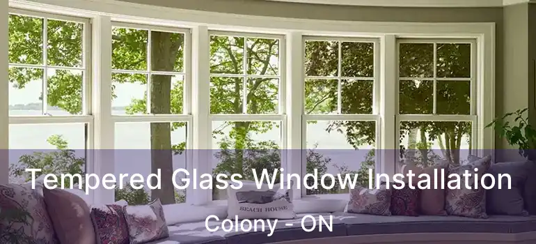  Tempered Glass Window Installation Colony - ON